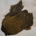 Hen Neck