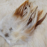 Strung Saddle Hackle