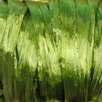 Swiss Straw