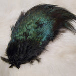 Ring-Necked Pheasant Rump Patch