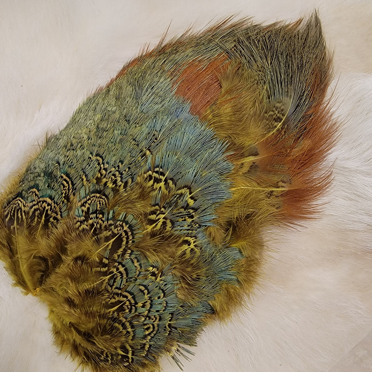 Ring-Necked Pheasant Rump Patch – Hunted Treasures