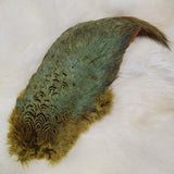 Ring-Necked Pheasant Rump Patch