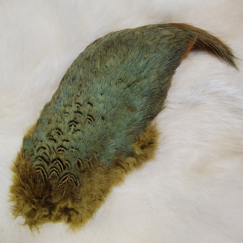 Ring-Necked Pheasant Rump Patch – Hunted Treasures