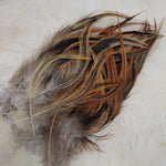 Hackle 3-6"