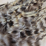 Hackle 3-6"
