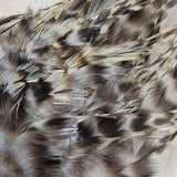 Hackle 3-6"