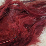 Hackle 3-6"