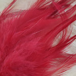 Hackle 3-6"