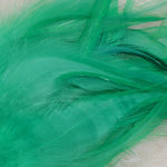 Hackle 3-6"