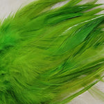 Hackle 3-6"