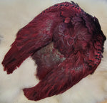 Ring-Necked Pheasant Skin - Claret