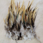 Hackle 3-6"