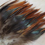 Hackle 3-6"