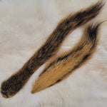 Fox Squirrel Tails