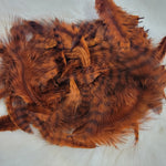 Grizzly Marabou
