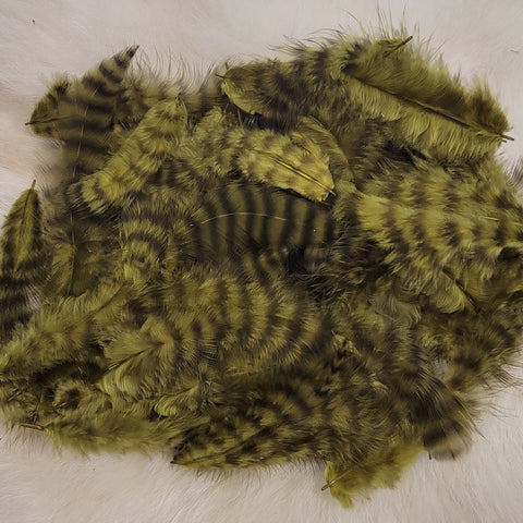 Grizzly Marabou