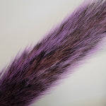 Squirrel tail