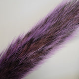 Squirrel tail