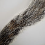 Squirrel tail