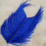 Ostrich Herl