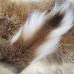 Bucktail