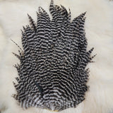 Hen Saddle