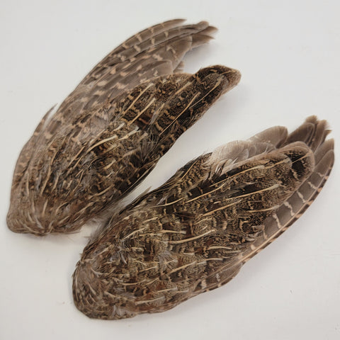 English Partridge Wings