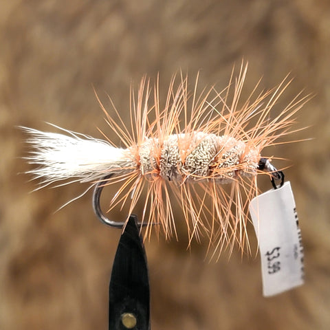 Orange Bug White Tail