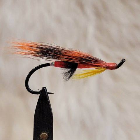 Colburn Orange