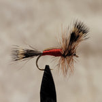 Humpy Red