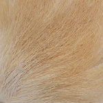 Elk Body Hair