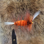 Salmon Bomber - Orange Body, Brown Hackle, White Tail/Wing