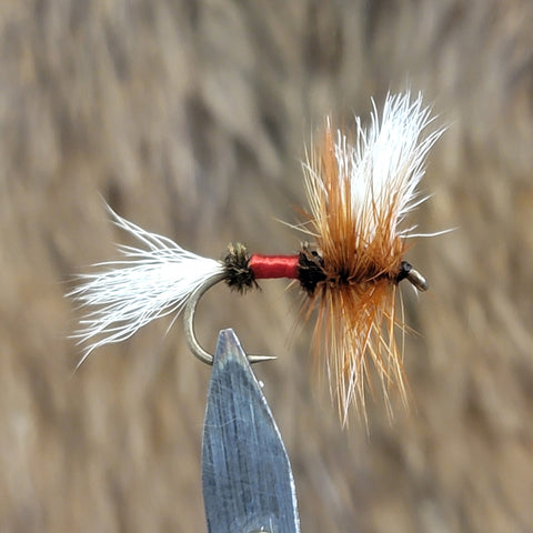 Royal Wulff Trout Fly