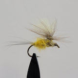 Sulphur Parachute