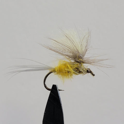 Sulphur Parachute