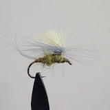 Blue Wing Olive Parachute