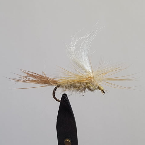 Light Cahill Parachute