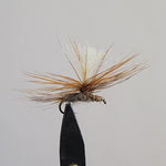 Adams Parachute