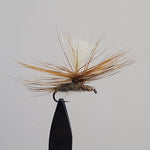 Adams Parachute