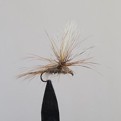 Adams Parachute