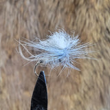 Blue Dunn Parachute
