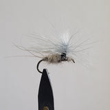 Blue Dunn Parachute