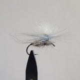 Blue Dunn Parachute