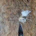 Grey Duster Parachute