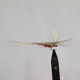 Rusty Parachute