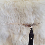 Rusty Parachute