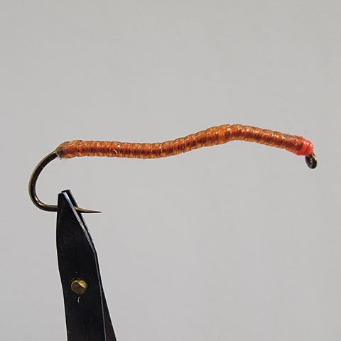 Blood Worm