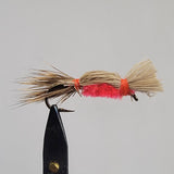 Devil Bug
