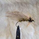 Tri Wing Sedge