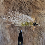 Tri Wing Sedge